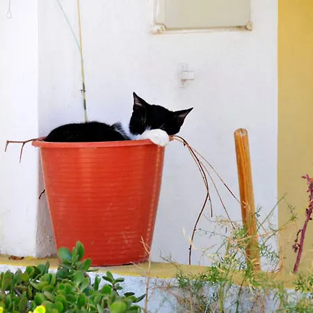 Quadradinhos 21q 4 Bedroooms Private Pool